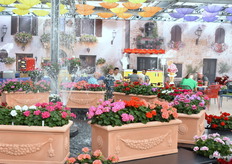 Daarbij was er de mogelijkheid om een duik te nemen of te genieten van een ijsje.